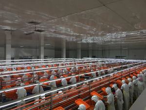 140g di fabbrica popolare miglior prezzo di buona qualità popolare pezzo di tonno in scatola in olio vegetale con coperchio facile da aprire tonno in scatola - Product Image 6