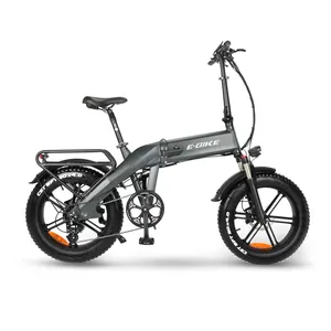 20 pouces longue portée Ebike 1000W Golden Fournisseur entièrement électrique gros pneu vélo pour adulte