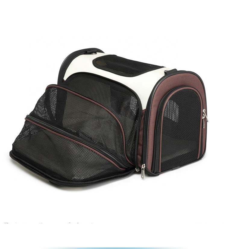 Mochila para gatos: ¿Cuál es la mejor del 2022? - REVIEWBOX España