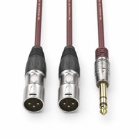 Câble adaptateur OEM 3,5 mm vers double XLR mâle (idéal pour les spectacles en direct, les studios d'enregistrement et l'équipement multimédia AV)