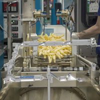Volautomatische Frozen Frietproductielijn Aardappelchip Complete Productielijnapparatuur