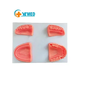 Medical Science Dental School Dental School Surgical simulator Pad dental practice Dental suture model Experimental model