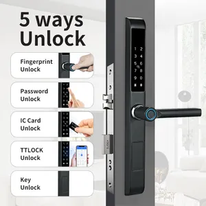 Hot Selling Waterproof Digital Biometric Handle Fingerprint Glass Door TTlock APP Aluminum Sliding Smart door lock