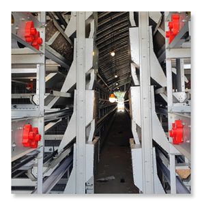 Gran oferta, <span class=keywords><strong>jaula</strong></span> para pollos tipo H, granja avícola, capa <span class=keywords><strong>de</strong></span> acero, batería, <span class=keywords><strong>gallinas</strong></span> ponedoras, sistema automático <span class=keywords><strong>de</strong></span> recolección <span class=keywords><strong>de</strong></span> <span class=keywords><strong>huevos</strong></span> - Product Image 5