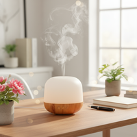 Humidificateur à brume froide, vaporisateur ultrasonique, diffuseur d'arômes pour la maison, le bureau, le yoga