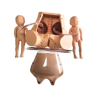 Model Pengajaran Persalinan Lanjutan, Model Pengiriman Janin dengan Tali Pusar dan Plasenta - Product Image 3