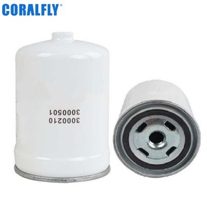 Filtre à carburant F1170-061 X191195 3000501 1000157 3000210 1681350380 PC201024-2602 pour Changan Pickup Hunter - Product Image 1