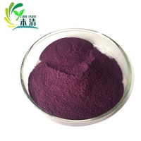 Poudre de Jus de Fruits d'Açaï de Chine de Haute Qualité, Extrait Naturel de Baies d'Açaï par Solvant, Hydrosoluble