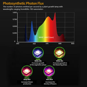 Đèn trồng cây quang phổ toàn diện 300W tùy chỉnh, PPF 750umol/s, 230 đèn LED, 6500K, 455nm, 660nm, 1 kênh điều chỉnh độ sáng - Product Image 6