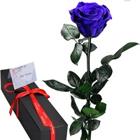 Rose éternelle préservée dans une boîte en papier pour la décoration de la maison, cadeau pour femmes pour la Saint-Valentin