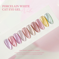 Coffret Cadeau Designer Personnalisé & Emballage Bouteille Vernis à Ongles Gel UV Magnétique Effet Œil de Chat Sans HEMA Sans TPO 9D 15ml Longue Durée
