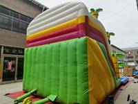 Apexscn View Factory Piscine gonflable commerciale personnalisée en PVC avec toboggan aquatique et château gonflable de fête, pour adultes et enfants 1