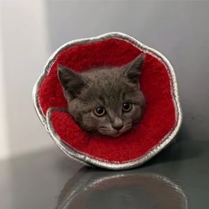 Collier <span class=keywords><strong>Elizabeth</strong></span> à dégagement rapide pour la récupération du chat Fibre de polyester solide EVA Plume de renfort de cou souple pour les soins postopératoires pour animaux de compagnie - Product Image 4