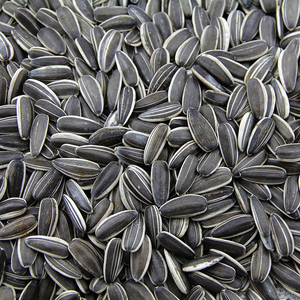 Emballage personnalisé, graines de <span class=keywords><strong>tournesol</strong></span> séchées à rayures noires de grande taille, en-cas, aliments sains et nutritifs, prix réduit - Product Image 4