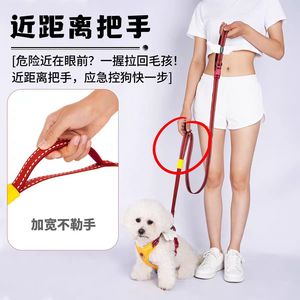 สายจูงสุนัขสีน้ำเงินพร้อมปีกนางฟ้า สำหรับสุนัขขนาดเล็ก กลาง ใหญ่ สายรัดอกแบบสะพายข้างและสายจูง - Product Image 4