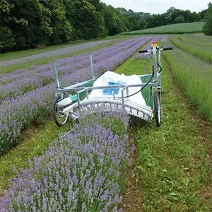 Groente Bloem Gecombineerd Thee Harvester Kawasaki Thee Oogsten Machine Lavendel Harvester