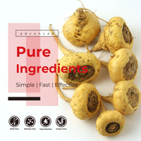 Poudre de racine de maca naturelle en marque blanche OEM pour booster l'énergie et les suppléments de bien-être – Soutien énergétique et vitalité
