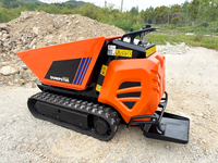 Antspower 2026 Certifié CE, Capacité de charge 600 kg, Mini-dumper sur chenilles à moteur diesel, Vente directe usine