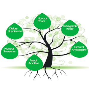 Natuurlijke Food Grade Hoge Kwaliteit Voedingskleurstof Radijs Zaad <span class=keywords><strong>Extract</strong></span> Radijs Rode Sap Kleur Kleurstof Vers Rode Radijs <span class=keywords><strong>Extract</strong></span> - Product Image 6