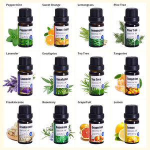 Disesuaikan minyak esensial wewangian larut air beraroma 10ml bahan baku murni minyak esensial alami untuk membuat lilin - Product Image 3