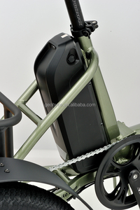 Eu गोदाम 48v 250w रियर हब मोटर 3 पहिया इलेक्ट्रिक साइकिल वयस्कों के लिए एकीकृत लिथियम बैटरी के साथ - Product Image 3