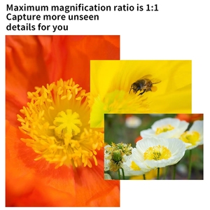 7artisans 60mm F2.8 Mark <span class=keywords><strong>II</strong></span> Objectif Macro APS-C pour <span class=keywords><strong>Sony</strong></span> E ZVE10 Nikon Z Z6II Fuji XF Canon EF-M M50 Canon RF R6 M4/3 T TL SL - Product Image 3