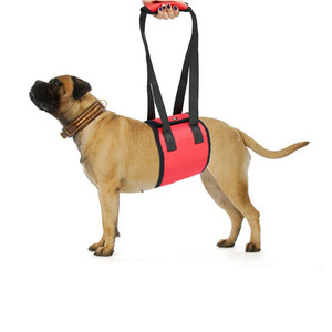 Arnés de Soporte para Perros, Cinturón de Ayuda para Mascotas Mayores, Enfermas o Discapacitadas, Estilo Mochila, Poliéster Negro, Talla Mediana - Product Image 2