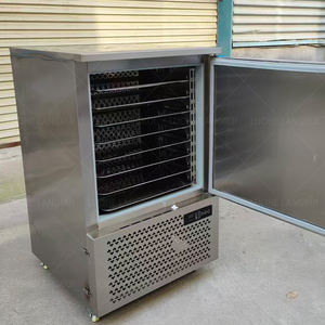 Mini congélateur commercial pour légumes - Stockage anti-humidité, idéal pour les petits restaurants et les marchés - Product Image 3