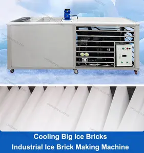 Meilleur contrôle de la qualité Machine de fabrication de blocs de glace sèche de 1 tonne Meilleur prix Machine à blocs de glace Fabrication de blocs de glace