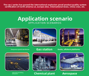 Reflector LED Industrial a Prueba de Explosiones, IP66 Impermeable, 20-200W, Vidrio Templado para Áreas Peligrosas y Almacenes - Product Image 6
