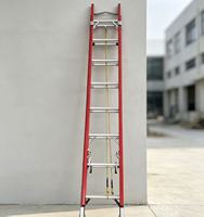 Échelle extensible portable en alliage d'aluminium, légère et pliable, pour l'escalade en intérieur et en extérieur