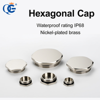 Bouchon hexagonal aveugle étanche IP68 en acier inoxydable, bouchon de calfeutrage hexagonal M PG NPT pour câble