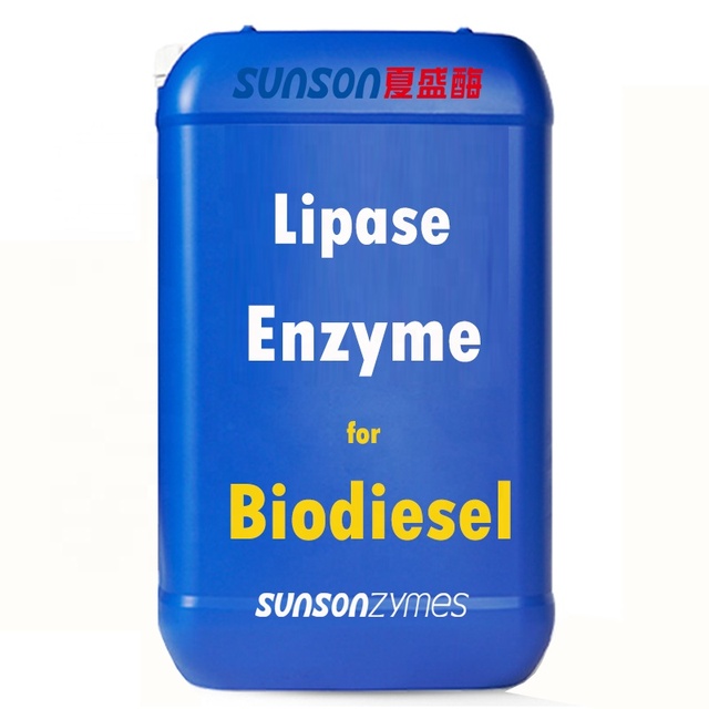 Lipase for Biodiesel: Enzyme for Biodiesel in Renewable Fuel Production