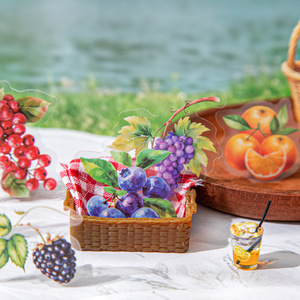 15 feuilles/paquet double matériel autocollant Pack Collection <span class=keywords><strong>de</strong></span> cueillette <span class=keywords><strong>de</strong></span> fruits sur le thème des baies décorations <span class=keywords><strong>de</strong></span> bricolage - Product Image 4