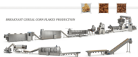 Machine extrudeuse d'aliments flottants pour poissons, ligne de production d'aliments pour poissons, marque LIKAI, capacité 100-550 kg/h, 220V/380V, pour céréales de petit-déjeuner et aliments de collation