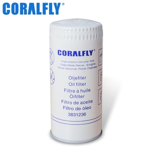 Truck Fuel Filters Truck Diesel Fuel Filter 466987 4669875 466987-5 478736 3831236 - Product Image 5