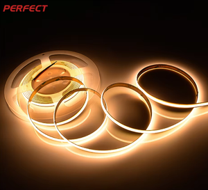 Tira de Luz Flexible COB de Silicona de Doble Capa, 528 LED/m, DC24V, 10mm de Ancho, Cortable cada 50mm, Ultra Densa, IP20, Ra90, 6000K, para Paisajismo - Product Image 1