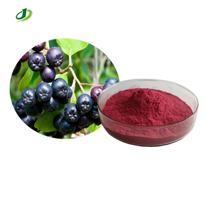 Extrait de sureau naturel en poudre, anthocyanidines 25% UV, fourni par l'usine - Product Image 1