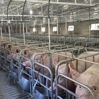 Estructura de Acero Prefabricada para Granjas, Establos para Vacas, Ovejas, Ganado, Lecherías, Cabras, Gallineros, Cobertizos para Cerdos