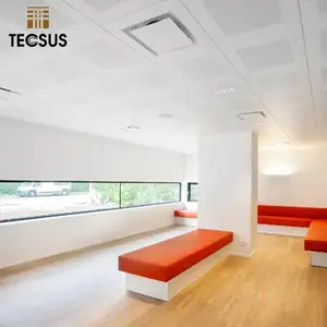 流行天花板悬挂系统天花板瓷砖2X4天花板面板中的高品质金属夹