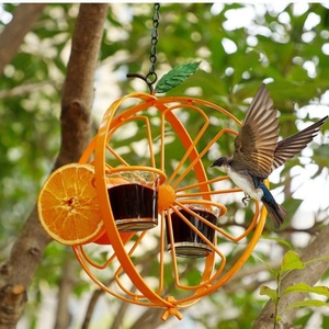 Nouveau mangeoire à oiseaux suspendue pour jardin, cour, printemps, colibri, moineau, perroquet, mangeoire à oiseaux populaire, mignonne, en plein air - Product Image 2