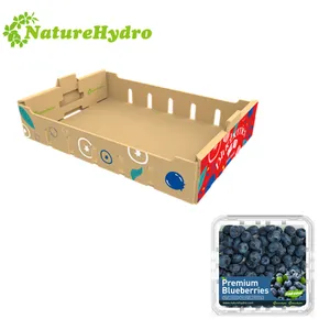 Fábrica Direta Preço A Granel Papel Embalagem Papelão Banana Blueberry Fruit Vegetable Box Com Tamanhos Personalizados Logotipo