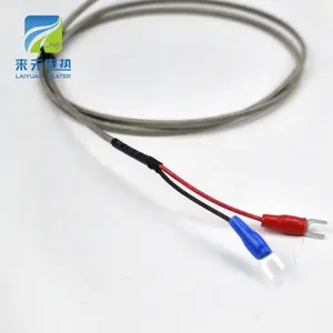 Laiyuan disesuaikan WZP Thermocouple RTD PT100 sensor suhu minyak kecil dengan kabel terkemuka