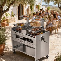 Barbecue au charbon de bois de style Santa Maria, moderne et haut de gamme, chariot mobile en acier inoxydable avec grille de cuisson à hauteur réglable