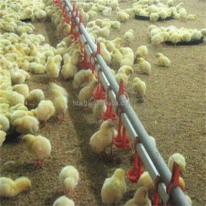 Nouvel état entièrement automatique poulailler distributeur d'<span class=keywords><strong>eau</strong></span> mangeoire équipement d'élevage de volaille avec remise pour l'élevage - Product Image 2