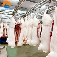 Solution clé en main pour l'abattage de porcs sur mesure, ligne complète d'équipement d'abattage de porcs, usine de transformation de viande de porc, machinerie d'abattoir