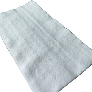 Produit de terrassement 100% polyester PET <span class=keywords><strong>Fibre</strong></span> discontinue <span class=keywords><strong>Aiguille</strong></span> perforée non tissé Géotextile 100g 200g 300g - Product Image 5