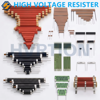 Resistencia Divisora Profesional RI80 HV con Material de Vidrio Glaseado de Película Gruesa para Fuente de Alimentación Industrial de Alto Voltaje