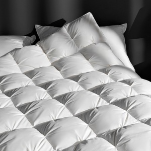 Original genuino 100% algodón acolchado ropa de cama edredón invierno lujo Hotel personalización edredón manta blanco edredón - Product Image 6