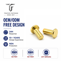 Rivets plats solides TianFang OEM pour protections de machines d'emballage, en fer, finition zinguée, production de précision et devis rapide